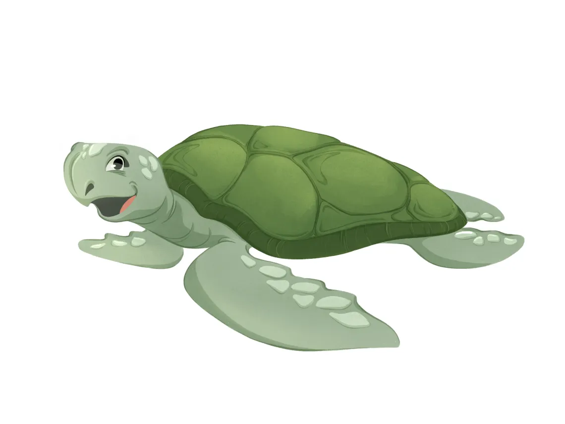 Tartaruga
